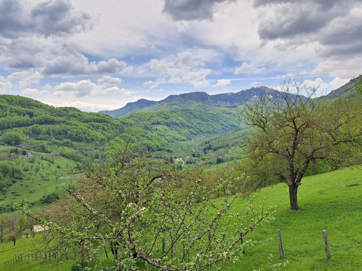Fern Farm Tiny Home Mojkovac Exterior foto