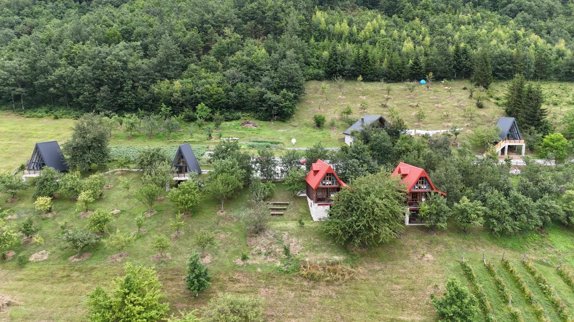 Fern Farm Tiny Home Mojkovac Exterior foto